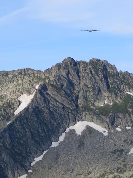 "Le Desman" Confortable T2 A La Montagne Face Aux Thermes Rando, Cure โอลุส์เลส์แบงส์ ภายนอก รูปภาพ